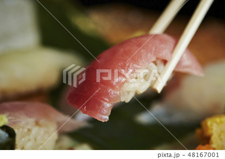 中トロ　マグロの握り寿司 48167001