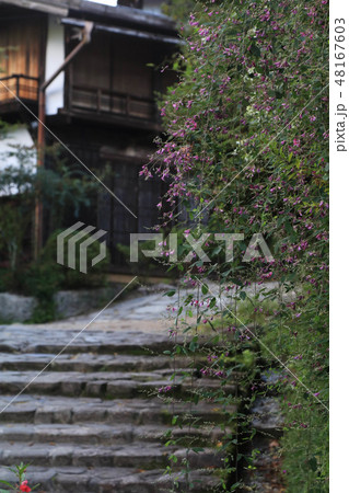 中山道・妻籠宿 48167603