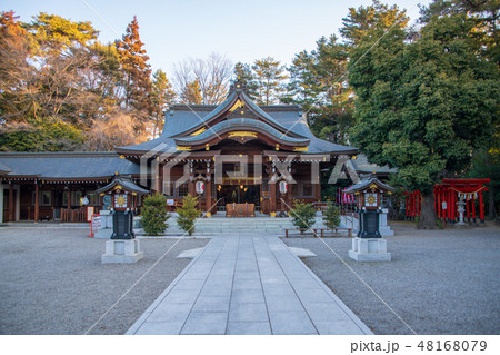 進雄神社 境内 本殿 拝殿 群馬県高崎市 進雄神社 境内 本殿 拝殿 群馬県高崎市 48168079