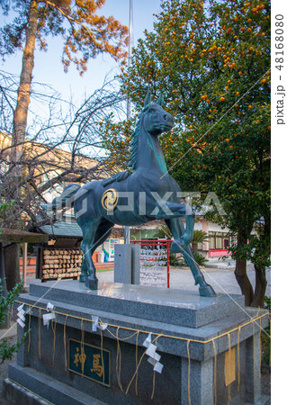 進雄神社　神馬　群馬県高崎市 48168080