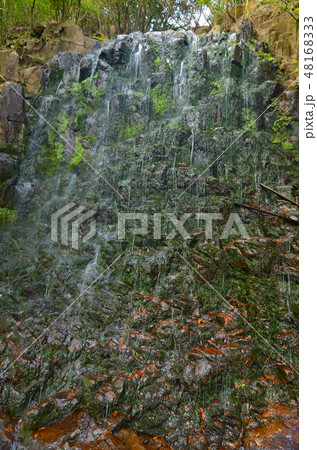 都農町の不動滝 都農町の不動滝 48168333