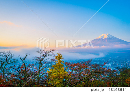Beautiful landscape of mountain fuji around maple leaf tree in autumn season Beautiful landscape of mountain fuji around maple leaf tree in autumn season 48168614