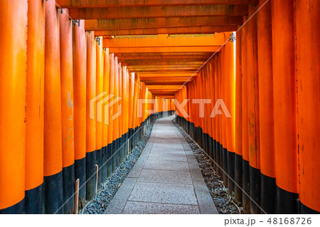 Beautiful fushimi inari shrine temple in Kyoto Beautiful fushimi inari shrine temple in Kyoto 48168726