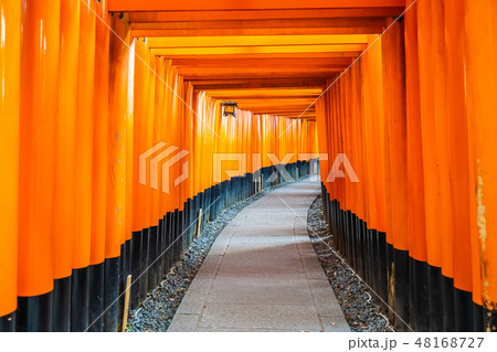 Beautiful fushimi inari shrine temple in Kyoto Beautiful fushimi inari shrine temple in Kyoto 48168727