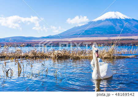 Beautiful landscape of mountain fuji around yamanakako lake Beautiful landscape of mountain fuji around yamanakako lake 48169542