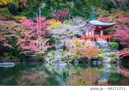 Beautiful Daigoji temple with colorful tree and leaf in autumn season 48171251
