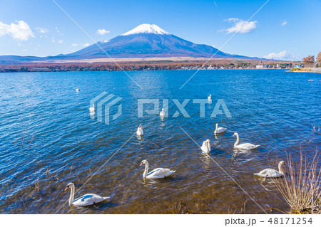 Beautiful landscape of mountain fuji around yamanakako lake 48171254