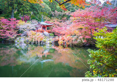 Beautiful Daigoji temple with colorful tree and leaf in autumn season 48171280