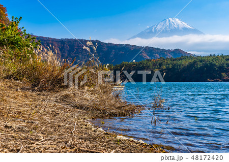 Beautiful landscape of mountain fuji with maple leaf tree around lake Beautiful landscape of mountain fuji with maple leaf tree around lake 48172420