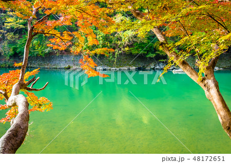 Beautiful Arashiyama river with maple leaf tree and boat around lake 48172651