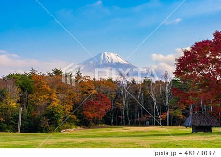 Beautiful landscape of mountain fuji with maple leaf tree around lake Beautiful landscape of mountain fuji with maple leaf tree around lake 48173037