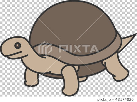 リクガメのイラスト素材