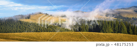 Mountains and forest in the Carpathian Mountain Range, Ukraine 48175253