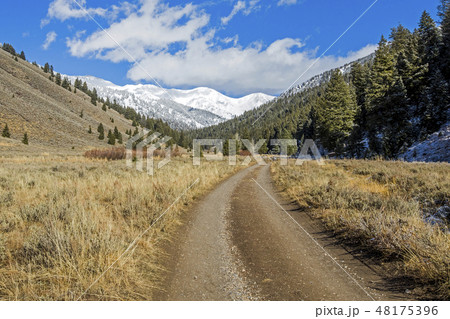 Dirt road with mountains and forest in Sun Valley, Idaho 48175396