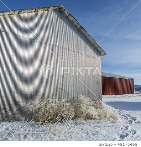 Shed on farm during winter 48175468