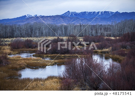 Mountains and forest in Picabo, Idaho Mountains and forest in Picabo, Idaho 48175541