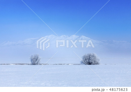 Field and mountains during winter in Fairfield, Idaho 48175623