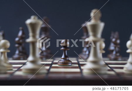 Pieces on chess board 48175705