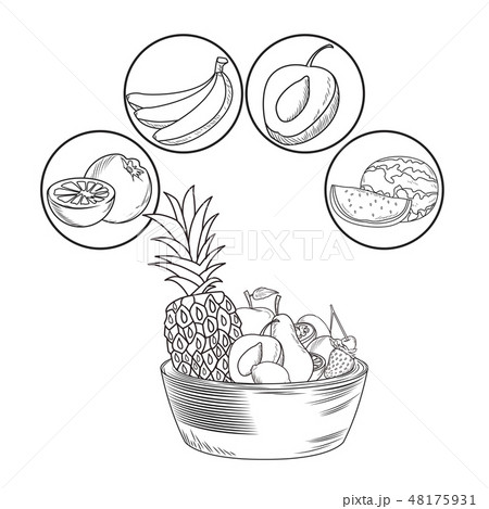 hand drawn fruits 48175931