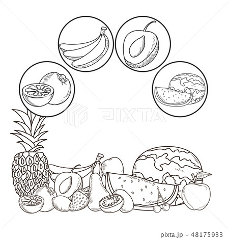 hand drawn fruits 48175933