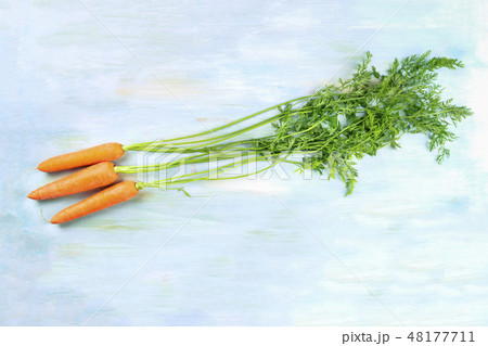 An overhead photo of vibrant organic carrots with green leaves, shot from above on a teal background 48177711
