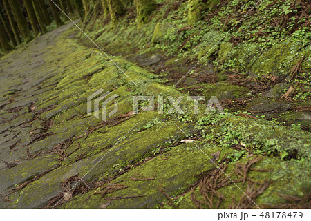 龍門滝と龍門司坂 48178479