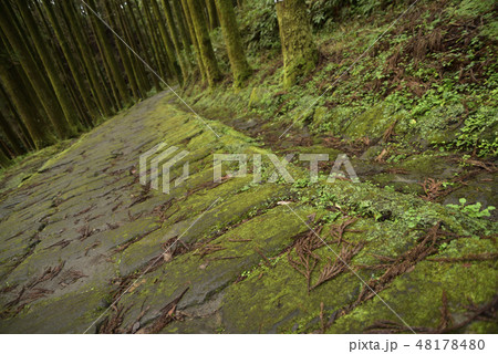 龍門滝と龍門司坂 48178480