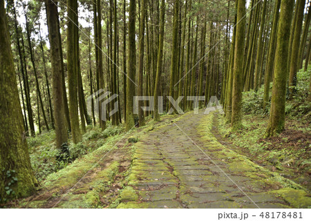 龍門滝と龍門司坂 48178481