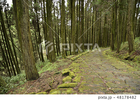 龍門滝と龍門司坂 48178482