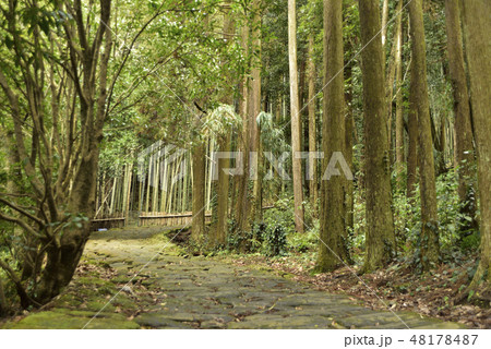 龍門滝と龍門司坂 48178487