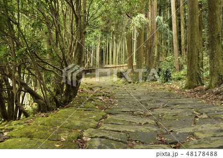 龍門滝と龍門司坂 48178488