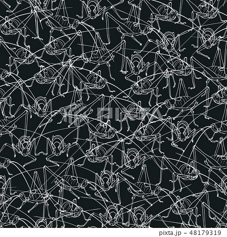 Flower element on dark seamless background. 48179319