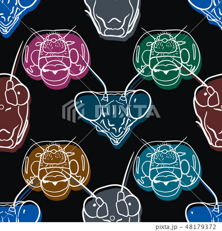 Colorful head of insect on seamless background. 48179372