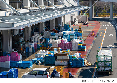 豊洲市場　水産卸売り場棟　搬入口 48179812