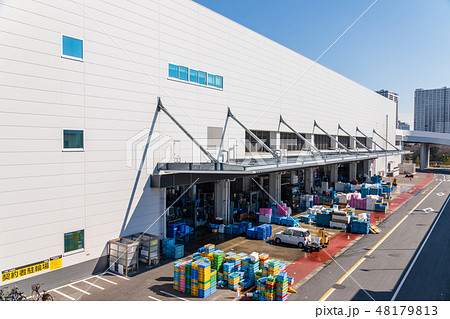 豊洲市場 水産卸売り場棟 搬入口 豊洲市場 水産卸売り場棟 搬入口 48179813