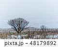 冬 48179892