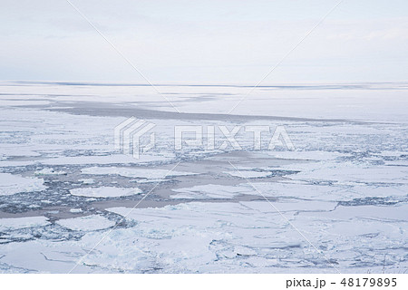 オホーツク海の流氷|網走・知床の冬を彩る自然の造形美 オホーツク海の流氷|網走・知床の冬を彩る自然の造形美 48179895
