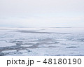 オホーツク海の流氷｜網走・知床の冬を彩る自然の造形美 48180190