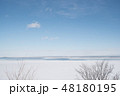 オホーツク海の流氷｜網走・知床の冬を彩る自然の造形美 48180195