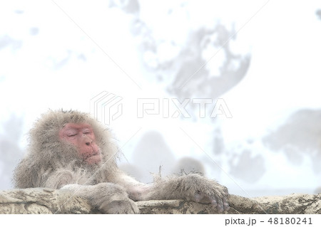 いい湯だな～♪ （2019.1.10）_漫画調版 48180241