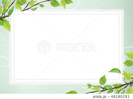 背景素材 ホワイトボード 和紙 新緑 植物 グリーンのイラスト素材