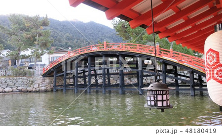 厳島神社　太鼓橋-広島県廿日市市宮島- 48180419