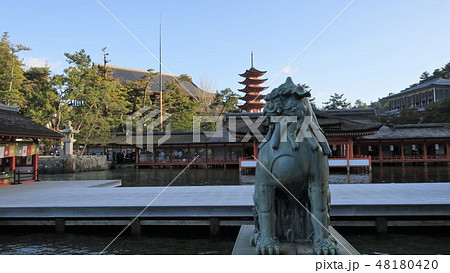厳島神社　狛犬-広島県廿日市市宮島- 48180420