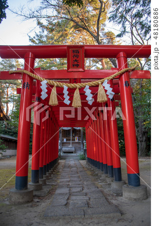 進雄神社 天王稲荷神社 群馬県高崎市 進雄神社 天王稲荷神社 群馬県高崎市 48180886