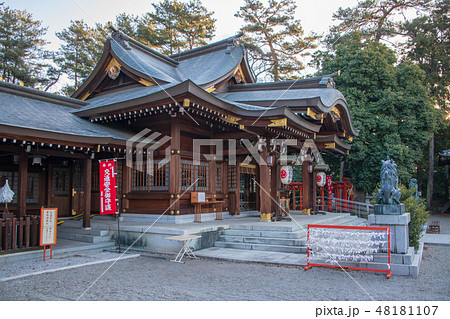進雄神社　拝殿　本殿　群馬県高崎市 48181107