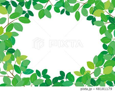 新緑 フレームのイラスト素材