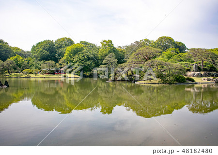 東京都 文京区 六義園(りくぎえん) 初夏 東京都 文京区 六義園(りくぎえん) 初夏 48182480