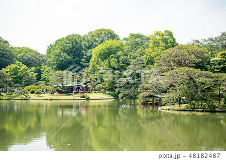 東京都　文京区　六義園（りくぎえん）　初夏 48182487