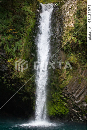 浄蓮の滝とハイコモチシダ（高速シャッター） 48182975