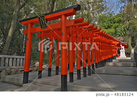【生田神社 生田稲荷大明神】 兵庫県神戸市中央区下山手通１ 48183124